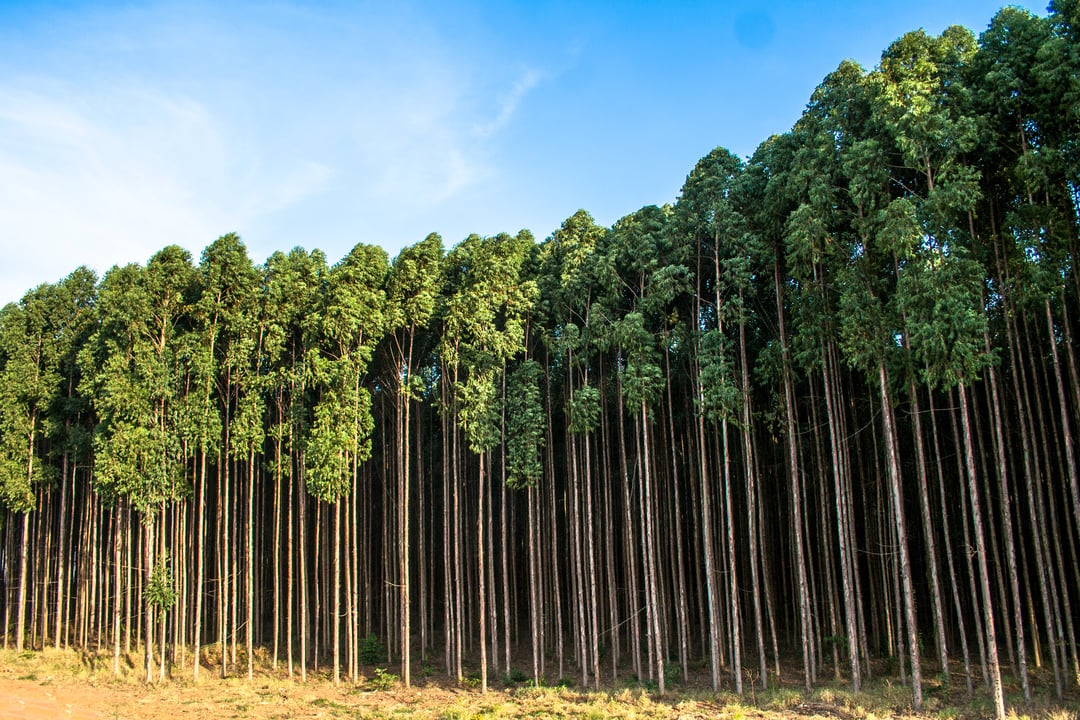 AdobeStock_217177712